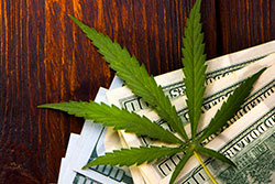 Cannabis 280e Tax services